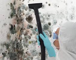 Best Mold Odor Removal Services  in St Ann, MO